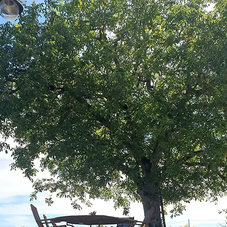 Ets Capmasil - 1920 3*